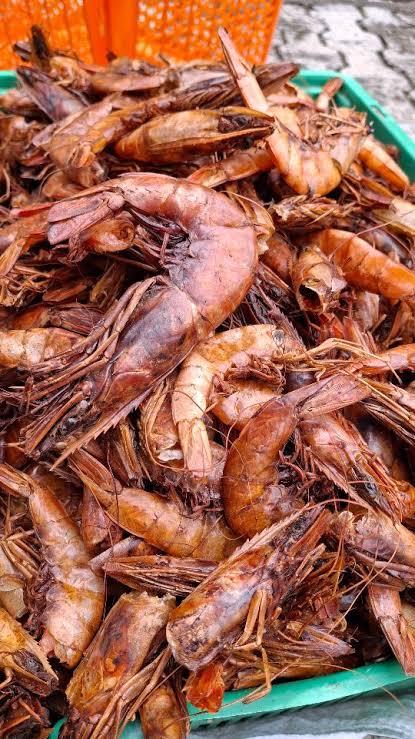 Cotonu Big giant Shrimps